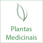 botao_plantas_medicinais